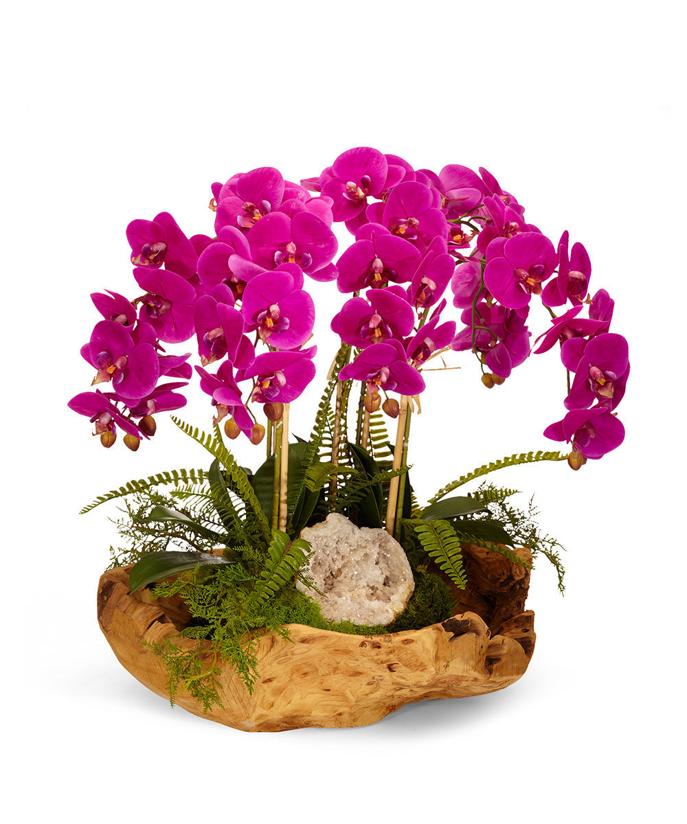 T&C Floral Company Home Decor Fuchsia Orchids in Wood Bowl