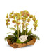 T&C Floral Company Home Decor Green Orchids in Wood Bowl