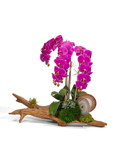 T&C Floral Company Home Decor Fuchsia Orchids on Driftwood