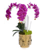 T&C Floral Company Home Decor Fuschia Gold Orchids & Selenite in Ceramic Face Vase