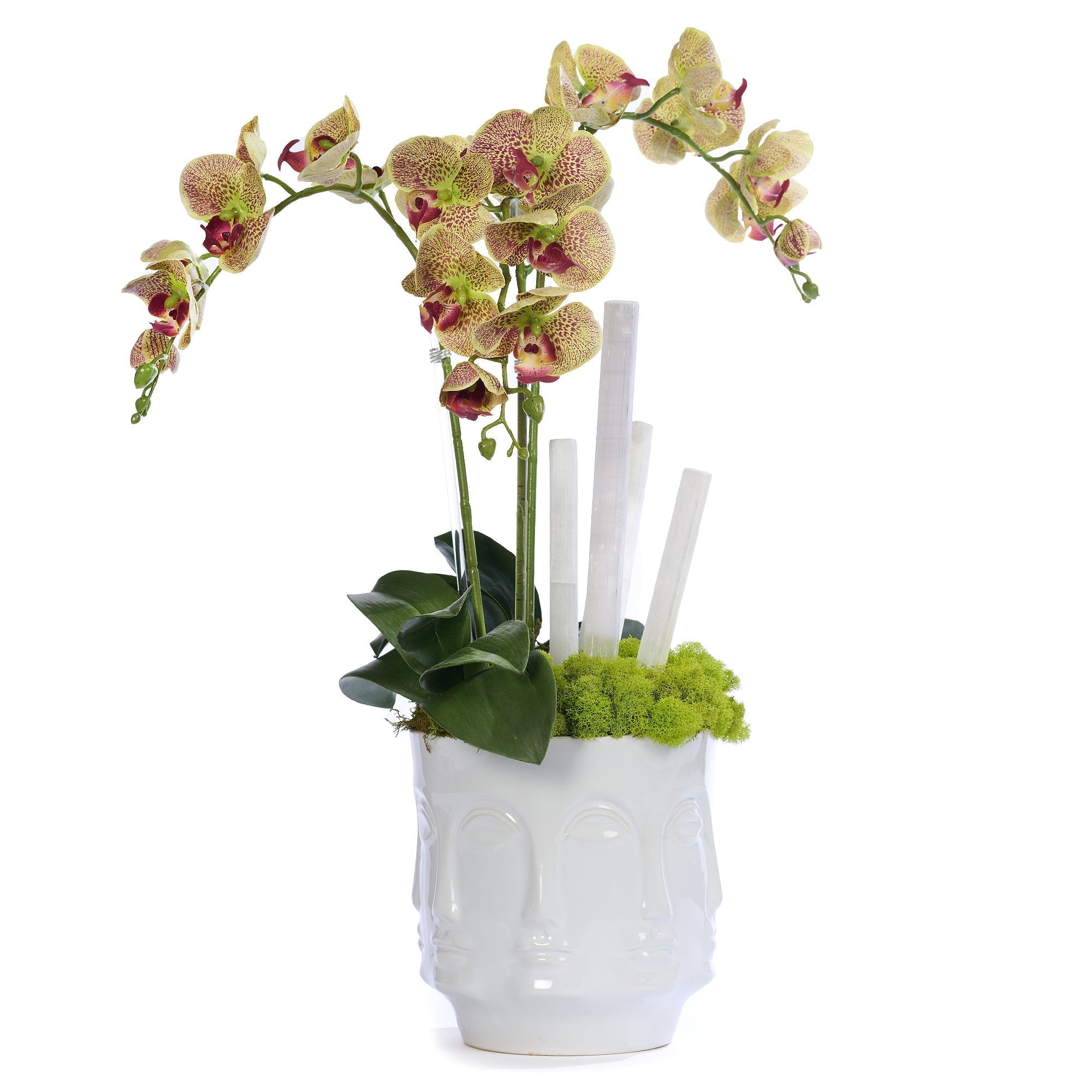 T&C Floral Company Home Decor Orchids & Selenite in Ceramic Face Vase