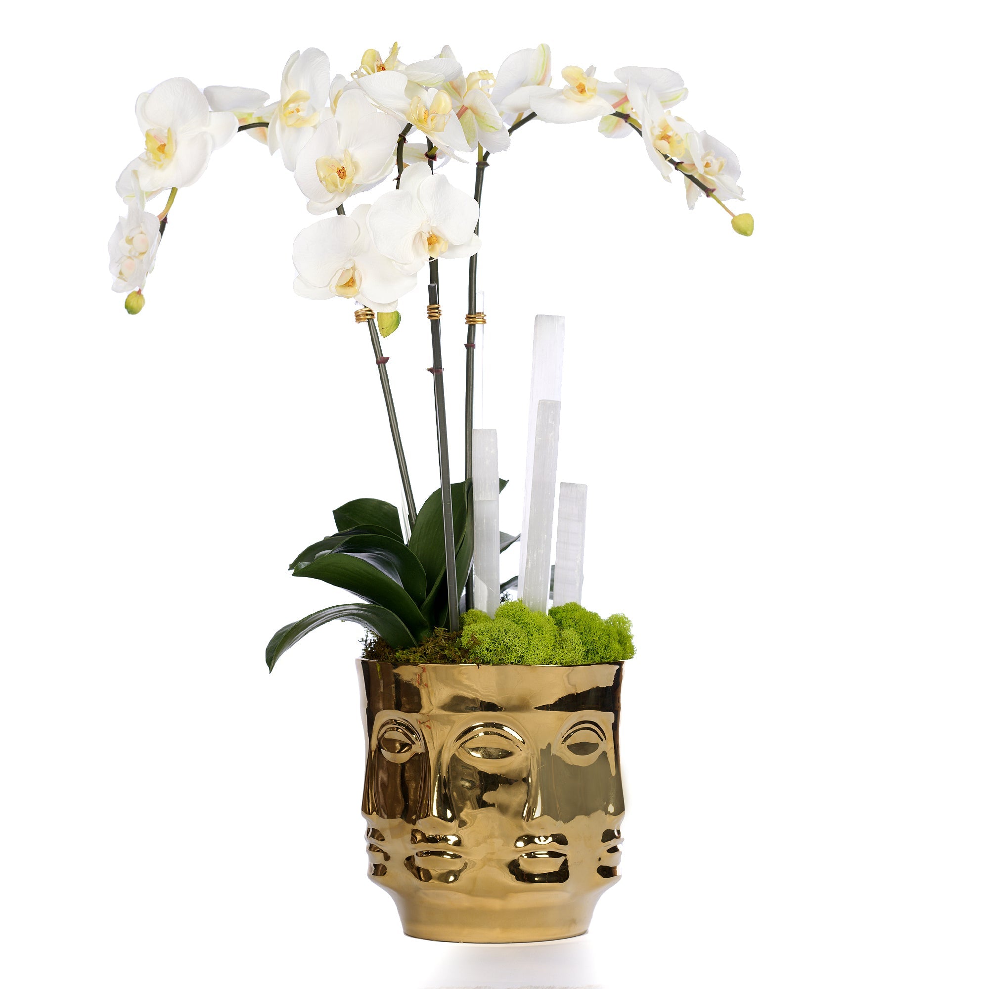 T&C Floral Company Home Decor White Gold Orchids & Selenite in Ceramic Face Vase