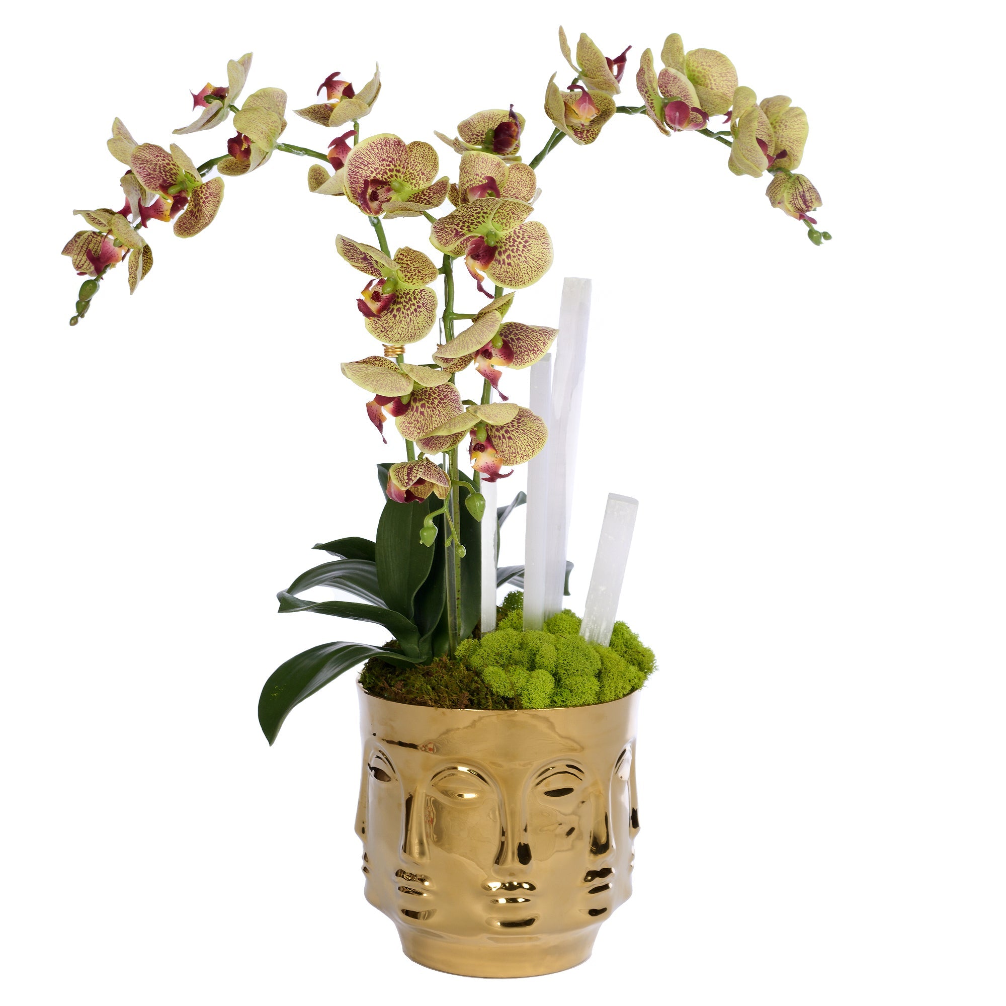 T&C Floral Company Home Decor Green Gold Orchids & Selenite in Ceramic Face Vase