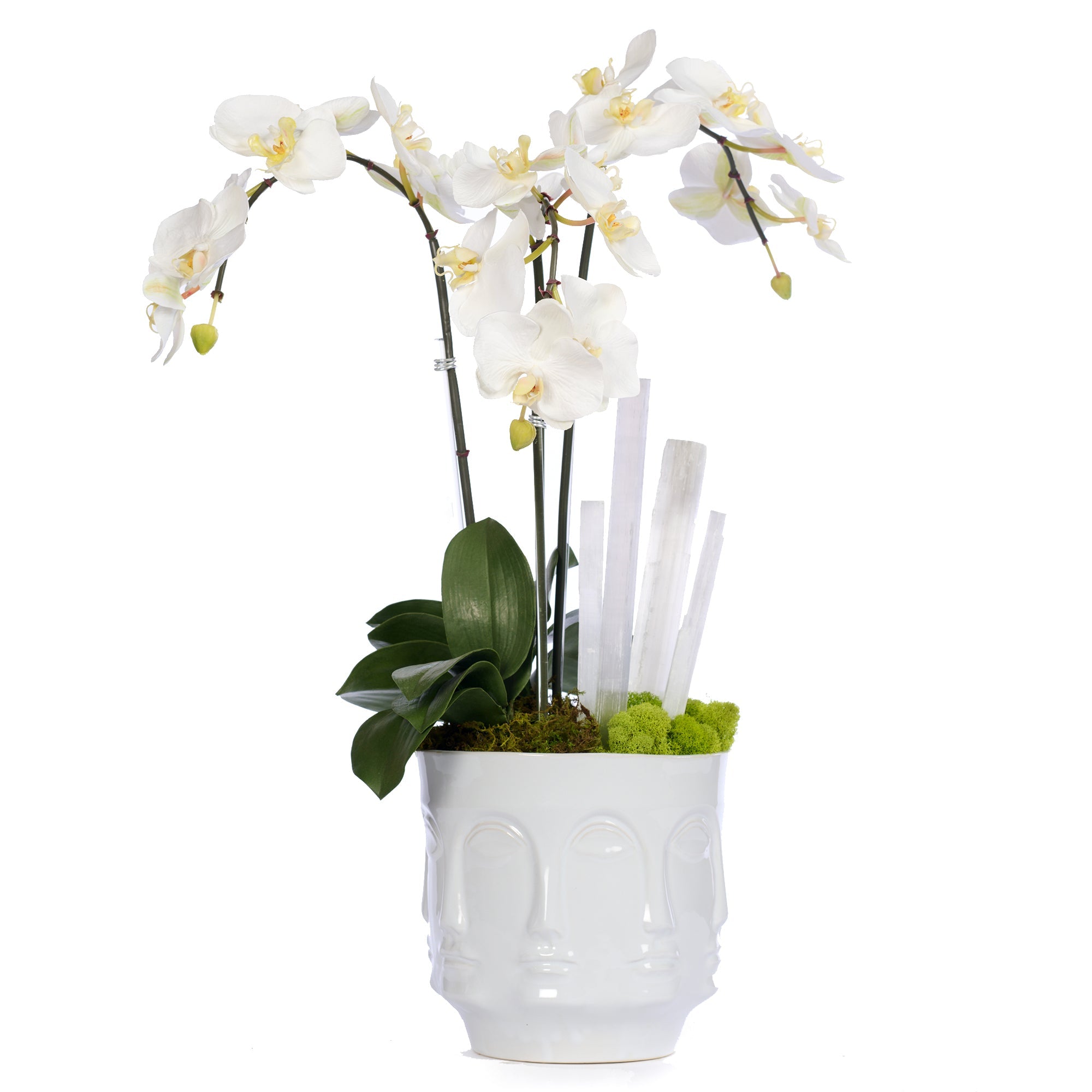 T&C Floral Company Home Decor Orchids & Selenite in Ceramic Face Vase