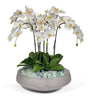 T&C Floral Company Home Decor Orchids with Fluorite in Concrete Bowl