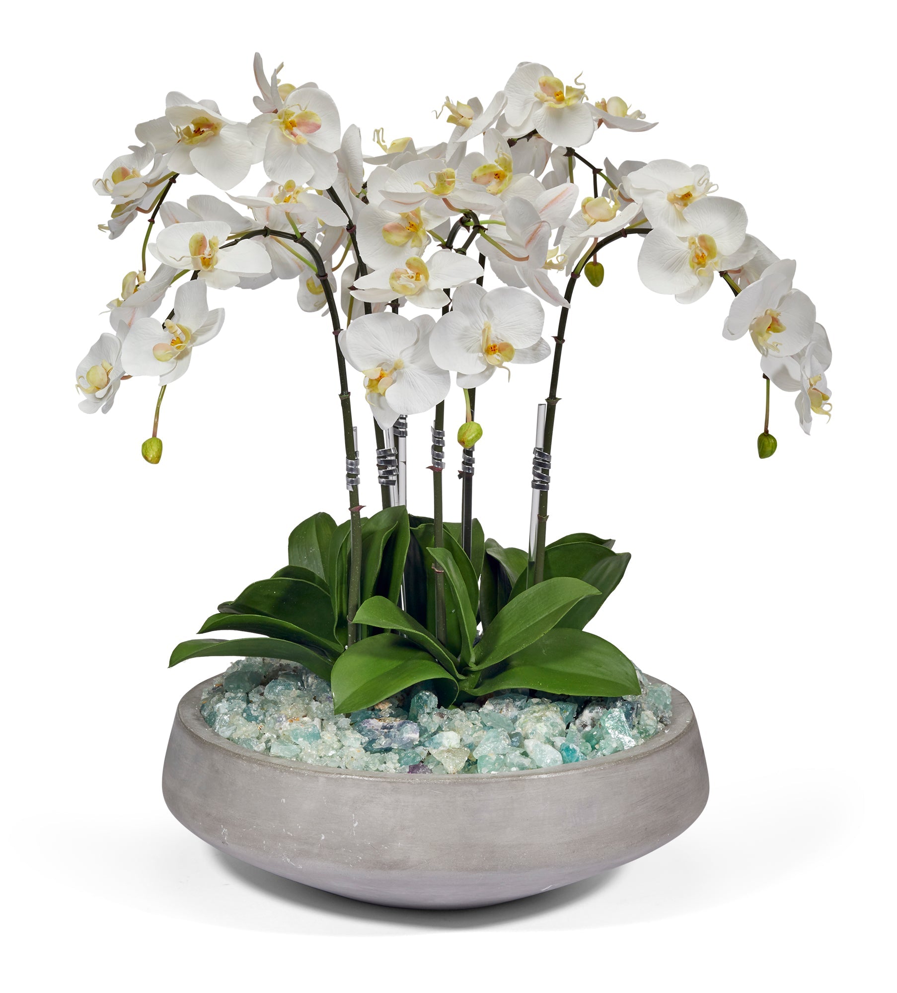T&C Floral Company Home Decor Orchids with Fluorite in Concrete Bowl