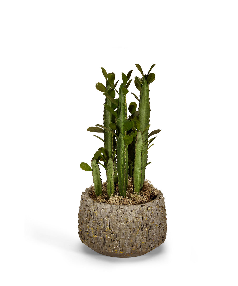artificial pencil cactus 17'' Faux Cactus Plant in Clay Pot T&C Floral Company