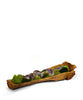 T&C Floral Company Home Decor Amethyst Preserved Moss & Geodes in Wooden Log