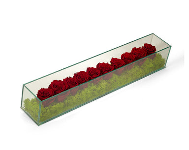 T&C Floral Company Home Decor Burgundy Preserved Roses in Rectangle Glass