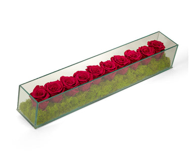 T&C Floral Company Home Decor Fuchsia Preserved Roses in Rectangle Glass