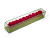 T&C Floral Company Home Decor Fuchsia Preserved Roses in Rectangle Glass