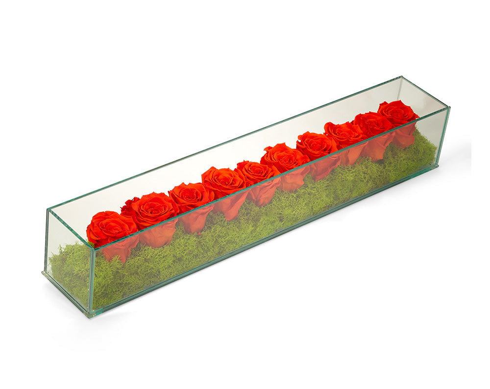 T&C Floral Company Home Decor Orange Preserved Roses in Rectangle Glass