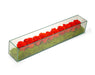 T&C Floral Company Home Decor Orange Preserved Roses in Rectangle Glass