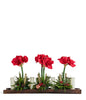 T&C Floral Company Home Decor Red Amaryllis in Wood Tray with Candles Red