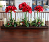 T&C Floral Company Home Decor Red Amaryllis in Wood Tray with Candles Red