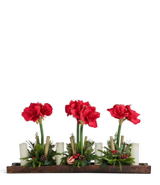 T&C Floral Company Home Decor Red Amaryllis in Wood Tray with Candles White