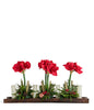 T&C Floral Company Home Decor Red Amaryllis in Wood Tray with Candles White