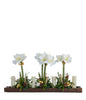 T&C Floral Company Home Decor Red Amaryllis in Wood Tray with Candles White