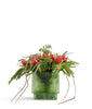 T&C Floral Company Home Decor Red Holiday Tulips in Green Glass Container