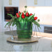 T&C Floral Company Home Decor Red Holiday Tulips in Green Glass Container