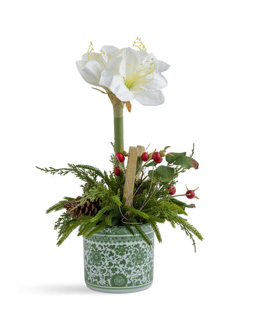 T&C Floral Company Home Decor Single Amaryllis in Green Oriental Container White