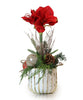 T&C Floral Company Home Decor Single Amaryllis in White & Gold Vase