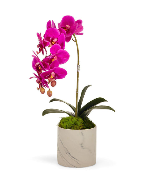 T&C Floral Company Home Decor Fuchsia Single Orchid in White Faux Marble Container