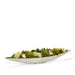 T&C Floral Company Home Decor Succulents/Quartz Succulents in Silver Boat