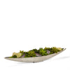 T&C Floral Company Home Decor Succulents/Amethyst Succulents in Silver Boat