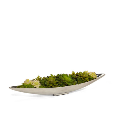 T&C Floral Company Home Decor Succulents Only Succulents in Silver Boat