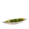 T&C Floral Company Home Decor Succulents Only Succulents in Silver Boat