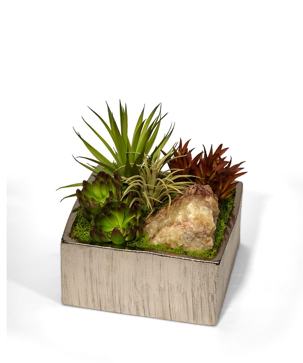 T&C Floral Company Home Decor Succulents in Silver Square Container