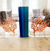 Tara Wilson Designs Giftware Bookends - Orange Coral