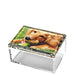 Tara Wilson Designs Giftware Photo Box - 5" X 7" Clear