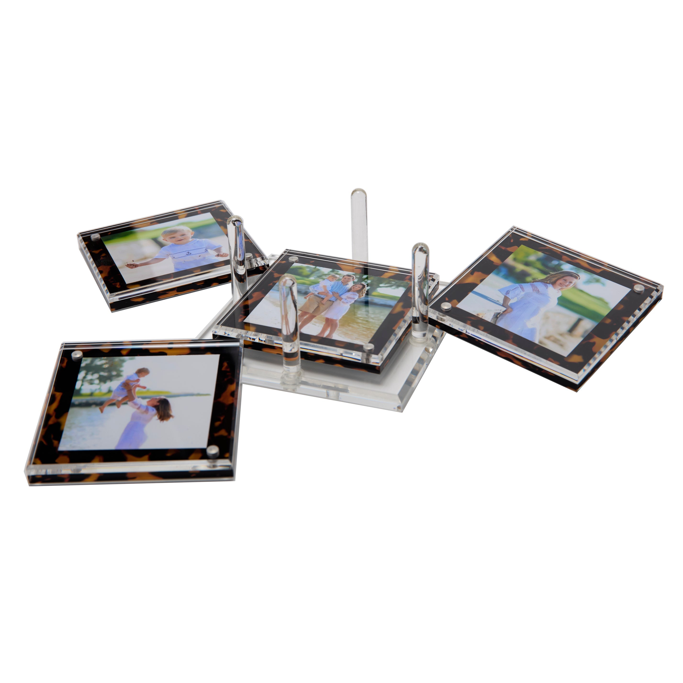 Tara Wilson Designs Giftware Photo Drink Coasters - Tortoise