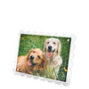 Tara Wilson Designs Giftware Scallop Frame 5x7 / 4x6 - Clear