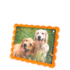 Tara Wilson Designs Giftware Scallop Frame 5x7 / 4x6 - Orange