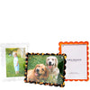 Tara Wilson Designs Giftware Scallop Frame 5x7 / 4x6 - Tortoise