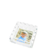 Tara Wilson Designs Giftware Scallop Photo Tray - Small - Clear