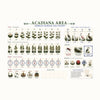 The Southern Peacock Giftware Acadiana American Mahjong Tile Set – Louisiana Collection