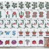The Southern Peacock Giftware Blushing Garden Mahjong Tile Set