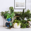 Think Outside Home Decor Rate to be Quoted Think Outside Barnyard Planterbot small