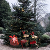 Think Outside Home Decor Think Outside Reindeer and Sled Set