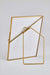 Tizo Designs Picture Frames Tizo Designs Brass Photo Frame Beaded 4x6