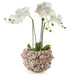 Tozai Home Home Decor Tozai Home 8 3/4" Shell Planter