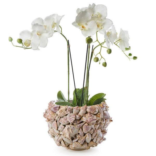 Tozai Home Home Decor Tozai Home 8 3/4" Shell Planter