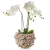 Tozai Home Home Decor Tozai Home 8 3/4" Shell Planter