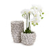 Tozai Home Home Tozai Home Hydrangea Petals Set of 2 White Planter/Vases - Ceramic