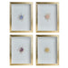 Tozai Home Home Decor Tozai Home S/4 Crystal Cluster Flower Shadow Box Wall Art
