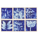 Tozai Home Home Decor Tozai Home S/6 Floral Design Wallart